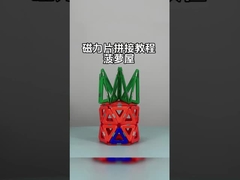 تجمع کاشی مغناطیسی با اشکال متنوع برای حیوانات و گیاهان خانه آناناس